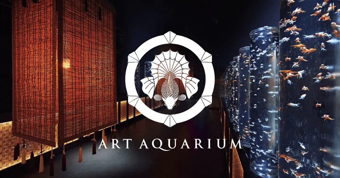 Art Aquarium Museum GINZA, Tokyo