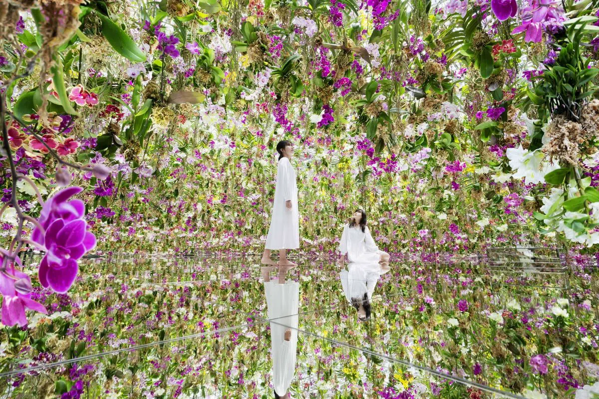 Tokyo's Immersive Art Rooms and How to Book Them