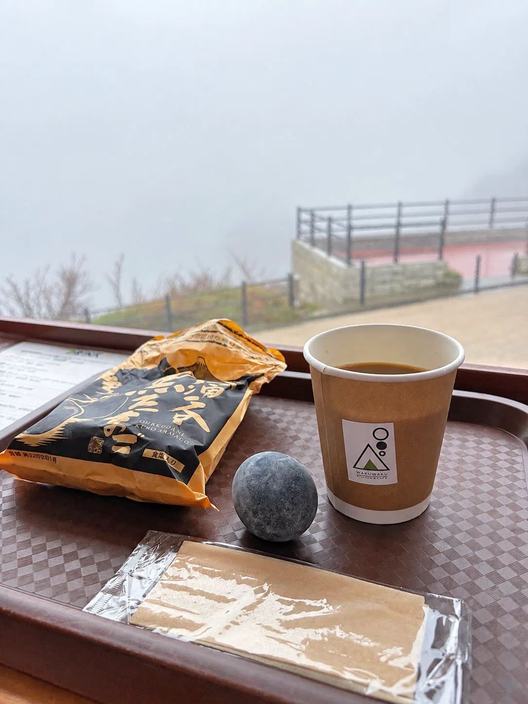 箱根强罗公园,东京