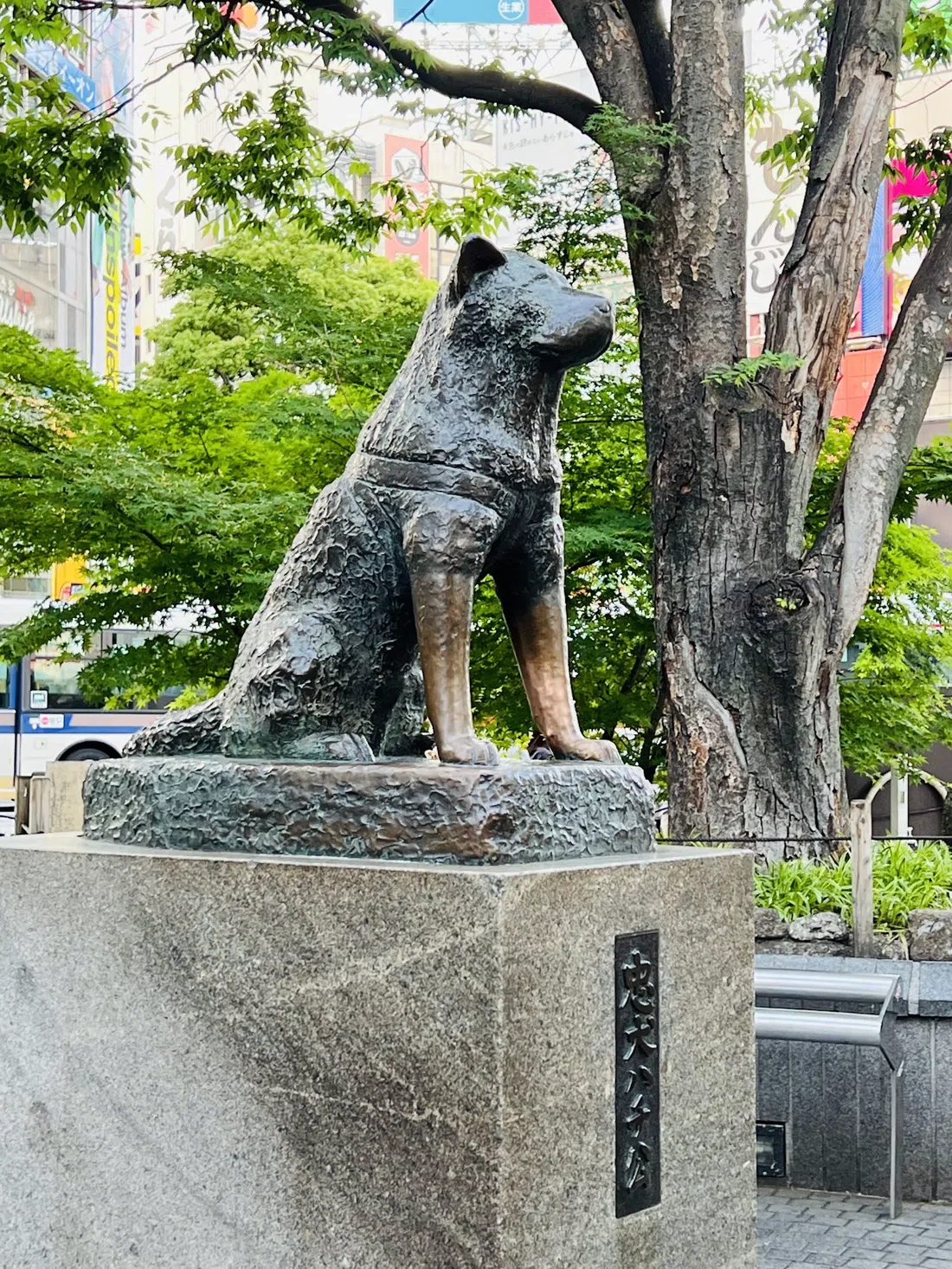Statua di Hachikō, Tokyo