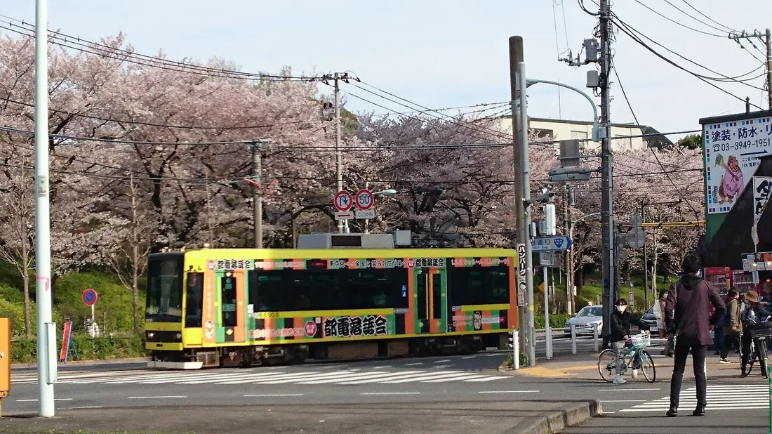 Tokyo Sakura Tram (Toden Arakawa Line), Tokio