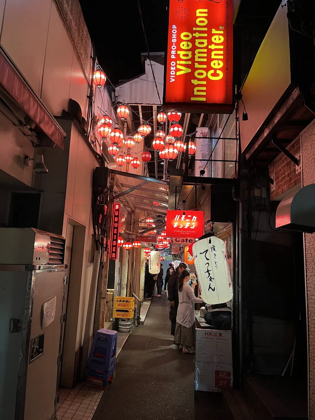 ハモニカ横丁、東京