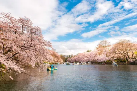 Kichijoji Slows Tokyo Down Around Inokashira Park
