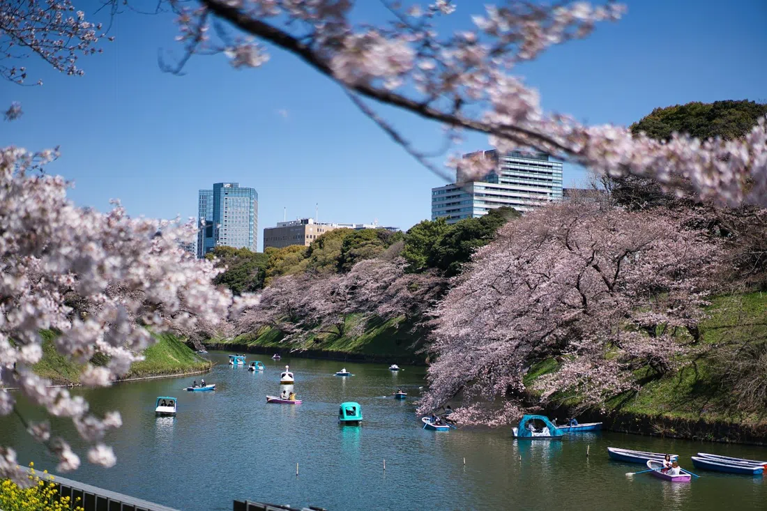 Chidorigafuchi, Tóquio