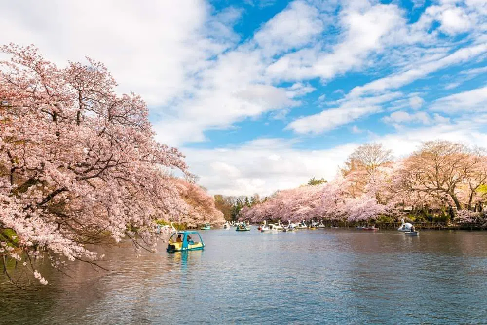 Parque Inokashira, Tóquio