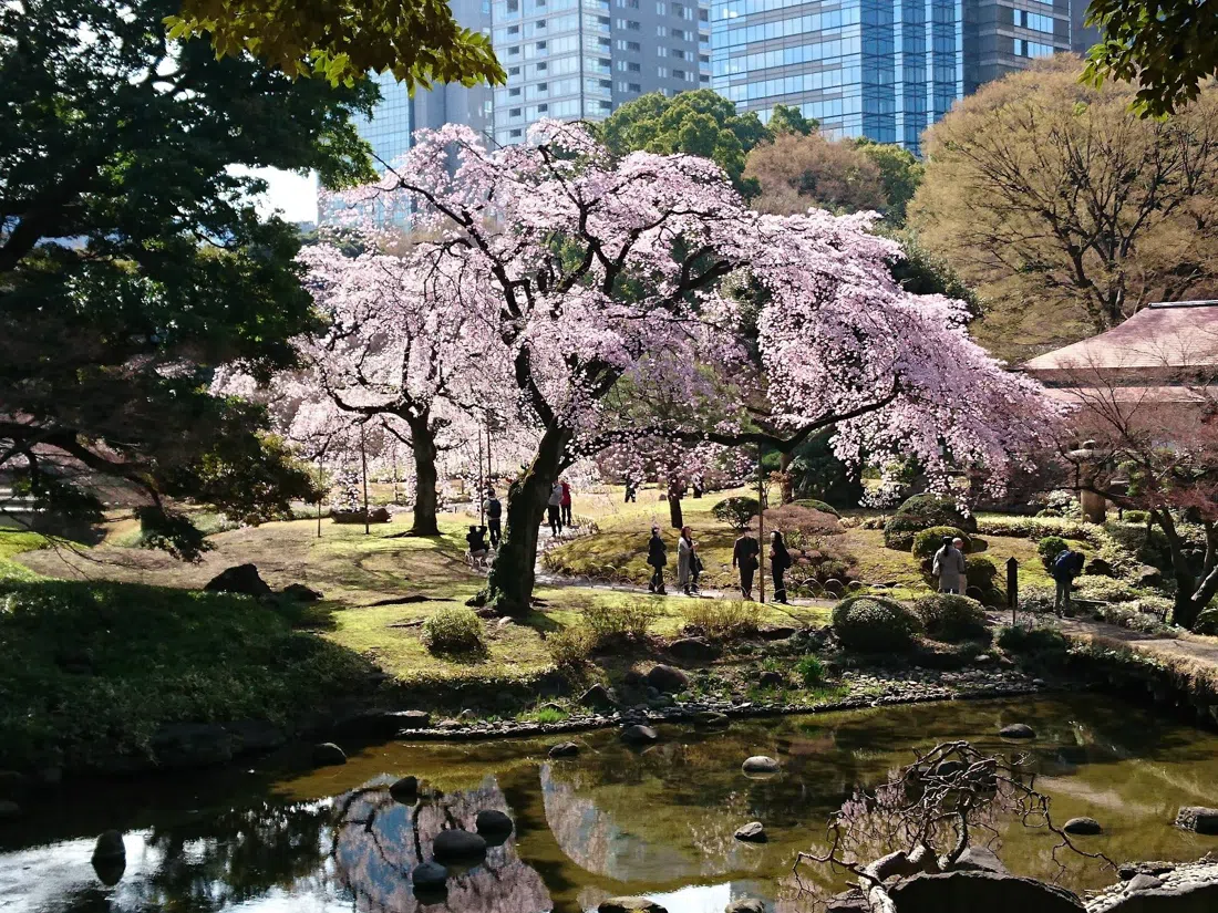 Koishikawa Korakuen, Tóquio