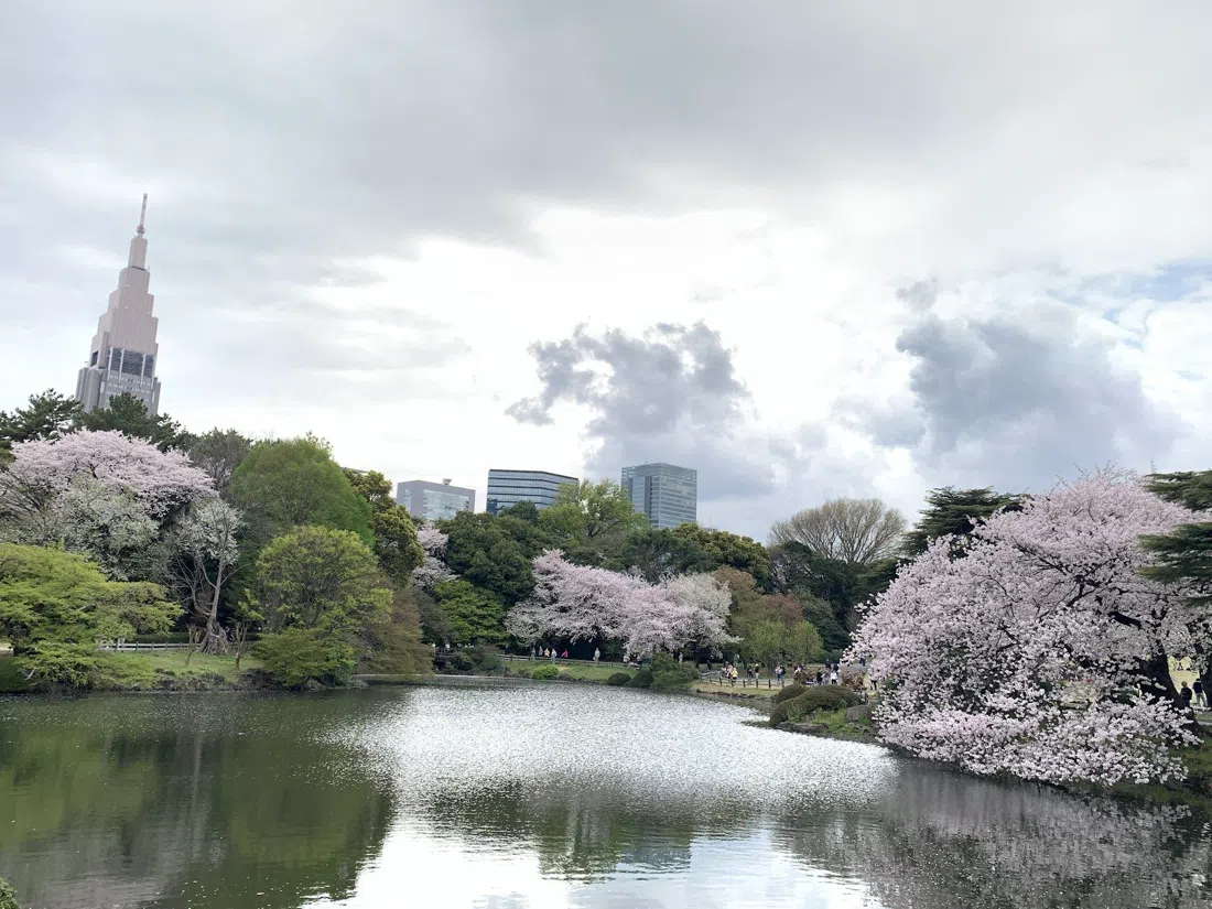 Jardim Nacional Shinjuku Gyoen, Tóquio