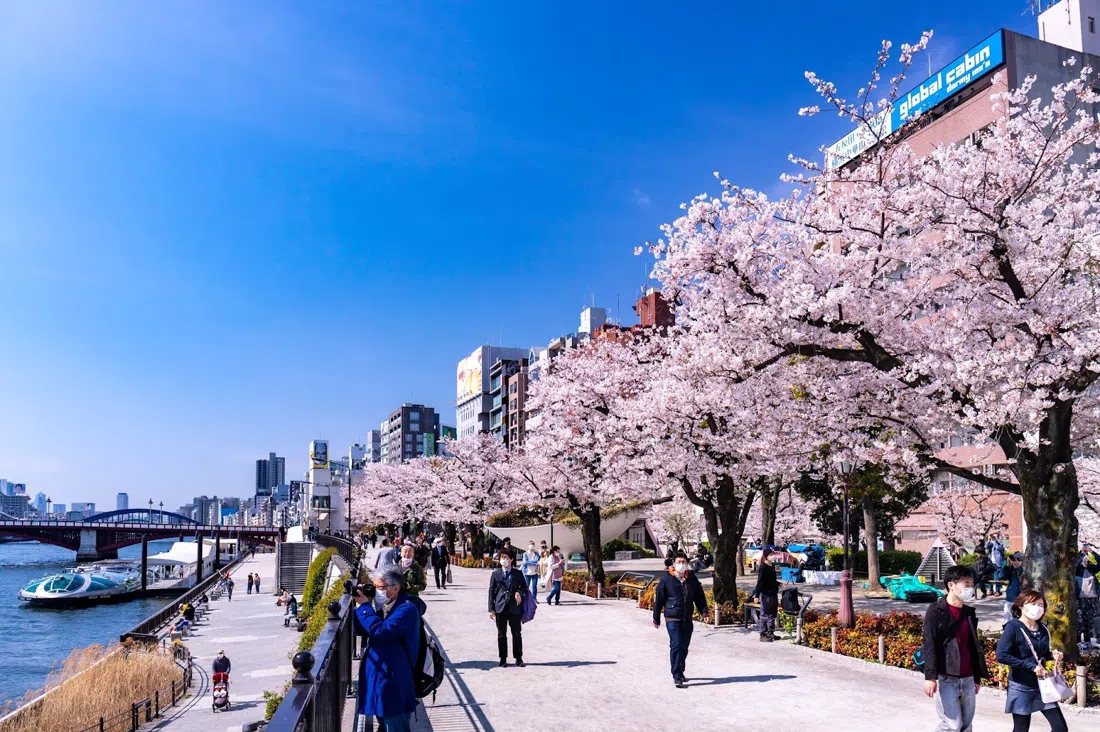 Parque Sumida, Tóquio