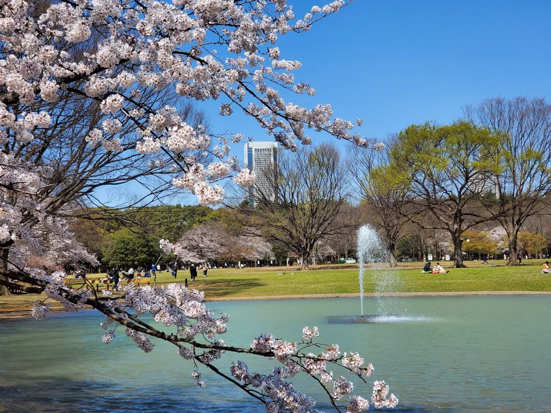 Parque Yoyogi, Tóquio