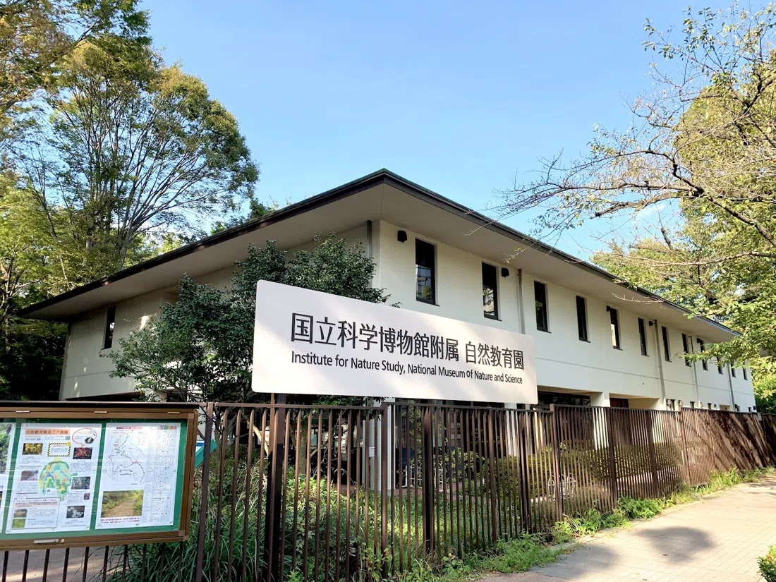 自然教育园(国立科学博物馆),东京