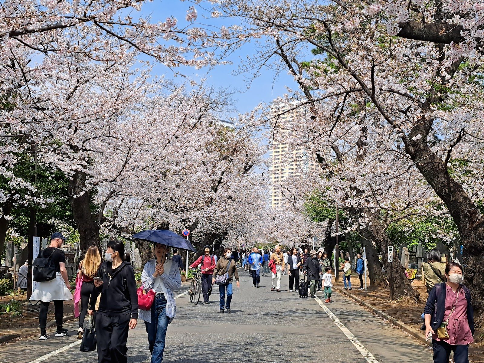 Yanaka Cemetery (Yanaka Reien), Tokyo