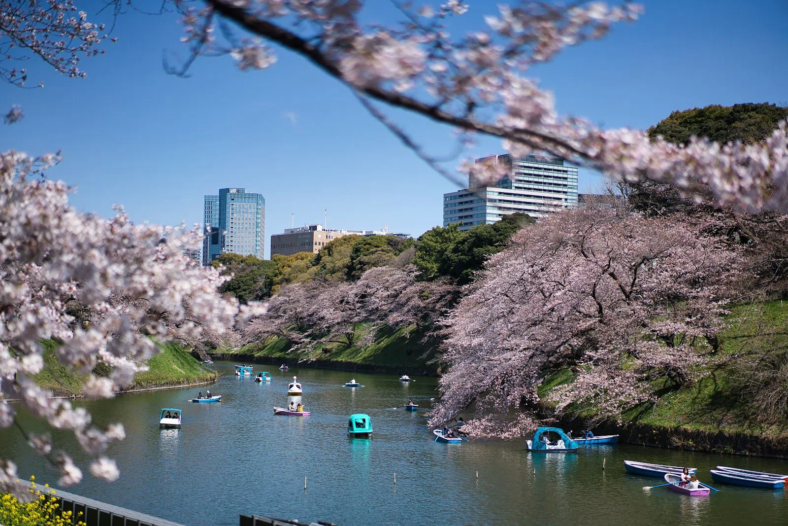 Chidorigafuchi, Tokyo