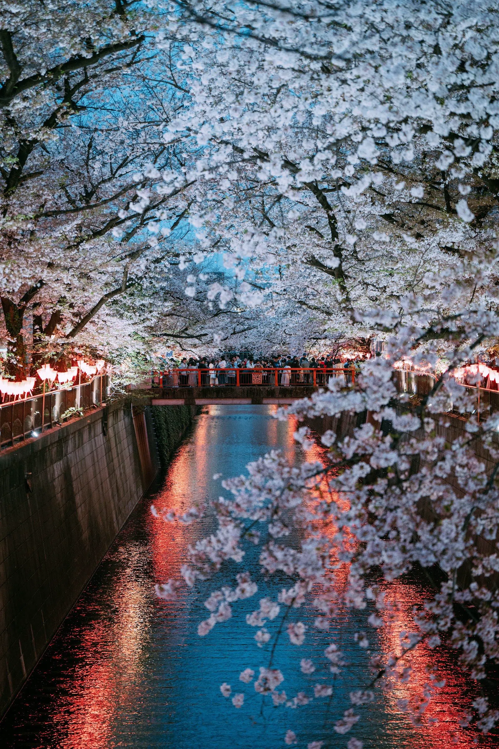 Rivière Meguro (Nakameguro), Tokyo