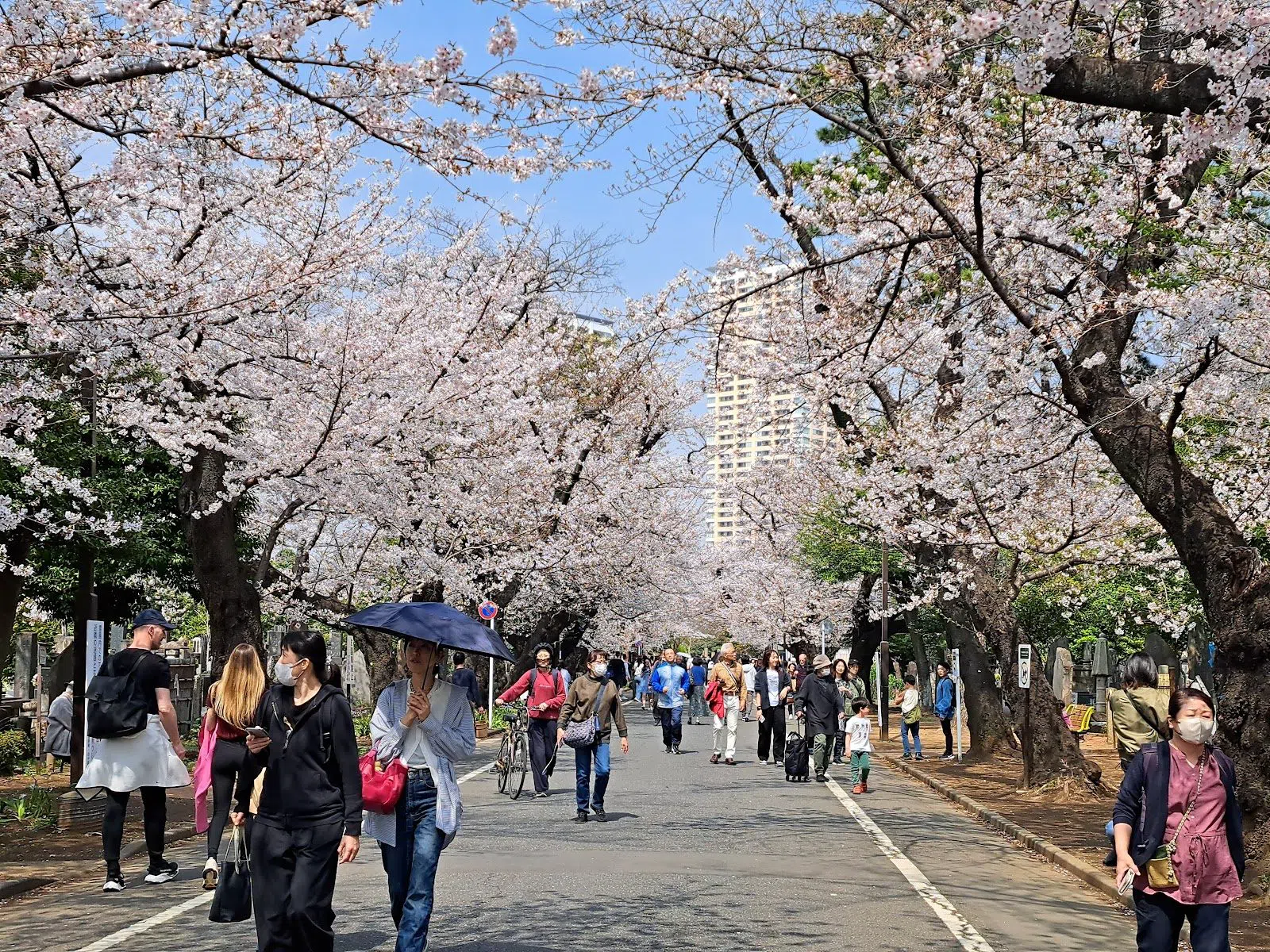 Yanaka Cemetery (Yanaka Reien), Tokyo