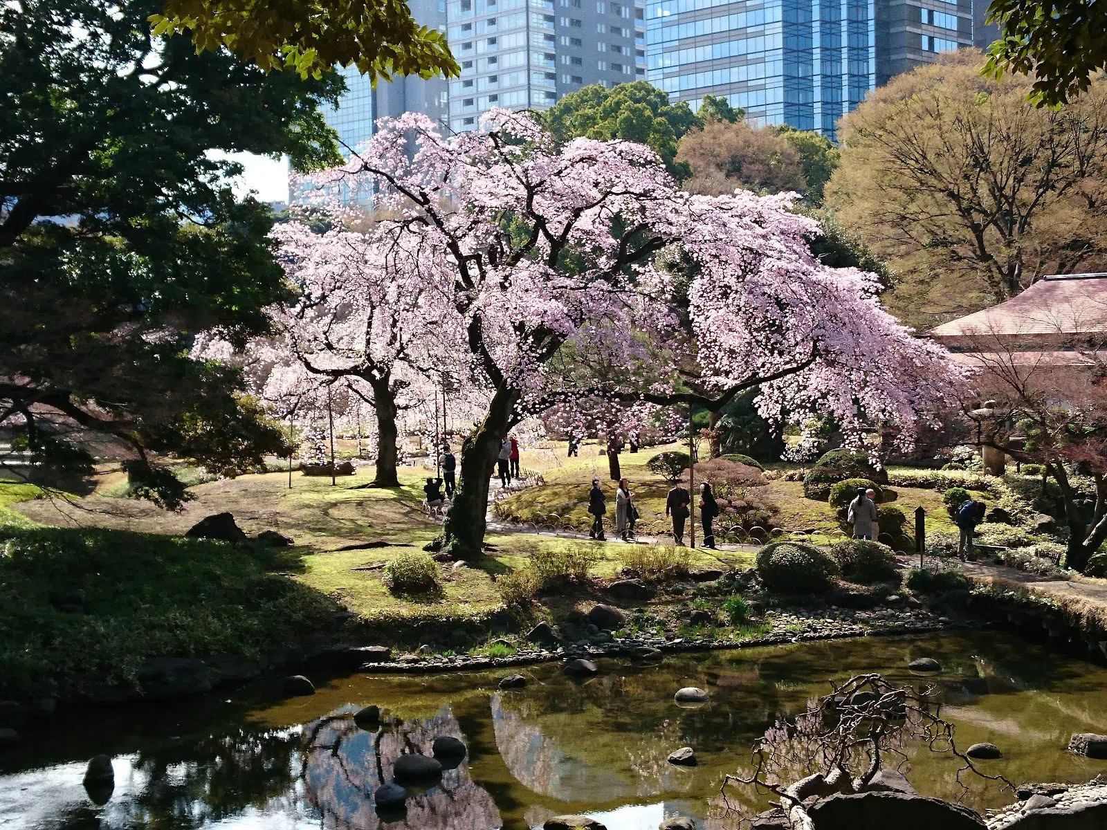 Koishikawa Korakuen, Tokyo