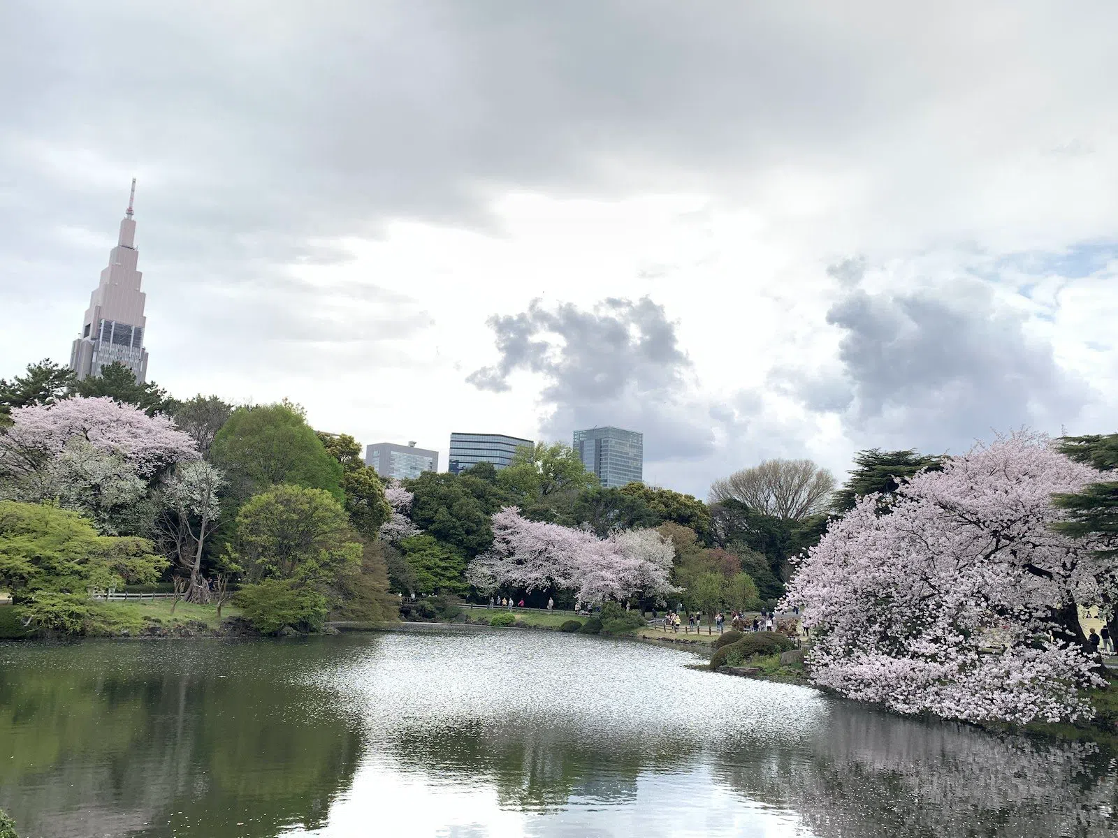 Jardin national Shinjuku Gyoen, Tokyo